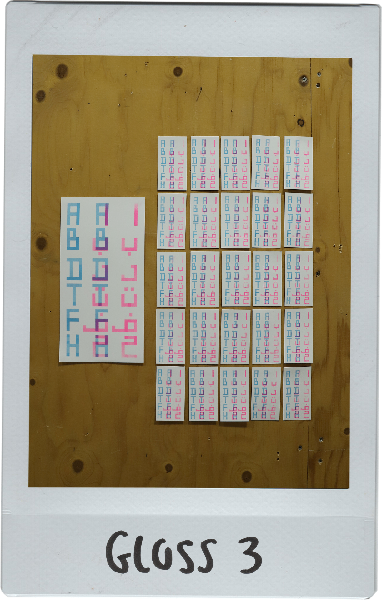 Treasure hunt polaroid 3